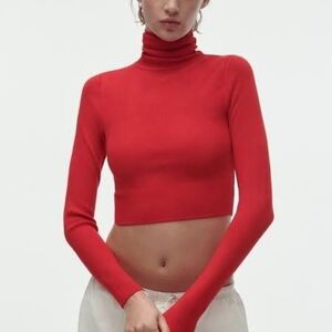 NWT ZARA CROPPED KNIT TURTLENECK